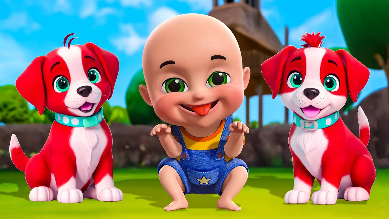 Baby Bingo Song New Compilation | Baa Baa Black Sheep Song | Baby Cartoon and Kids Songs | Baby Bobo