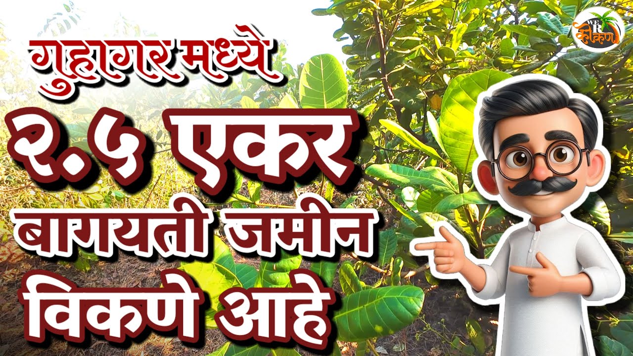 95 गुंठा Road Touch Agricultural Land || काजू बाग Investment Plot