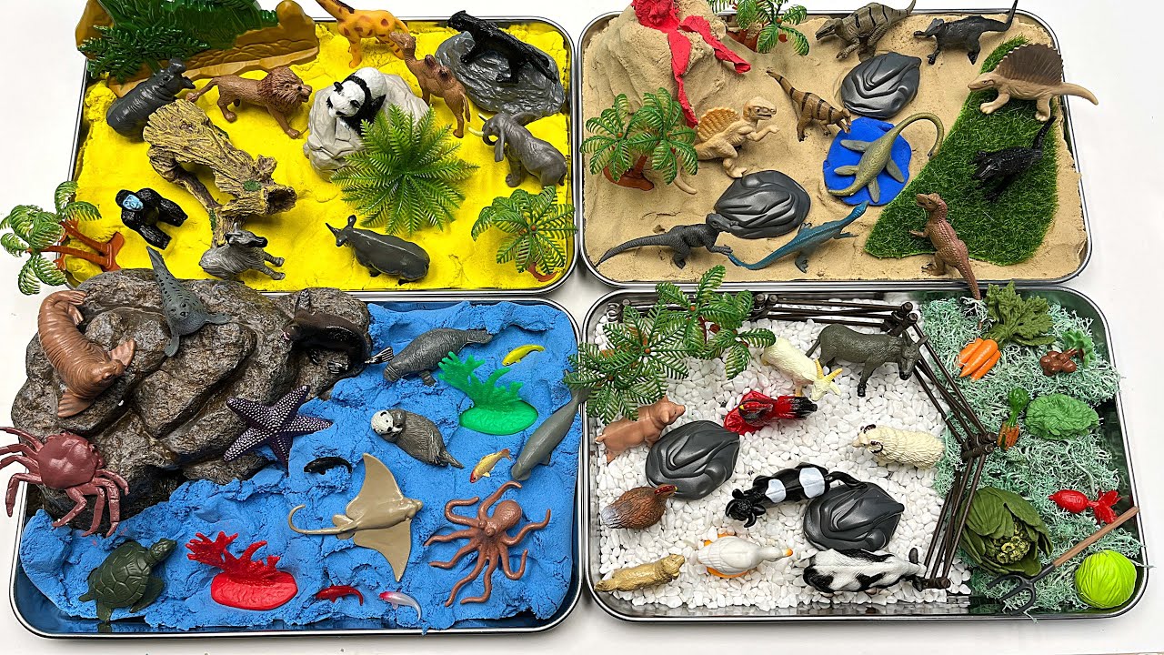 4 Type Small World With Animals | Jungle safari ocean Jurassic park