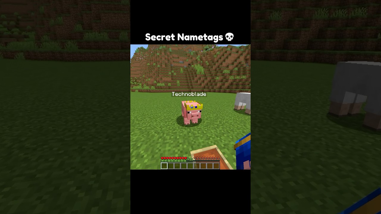 Minecraft Secret Nametags 🤯