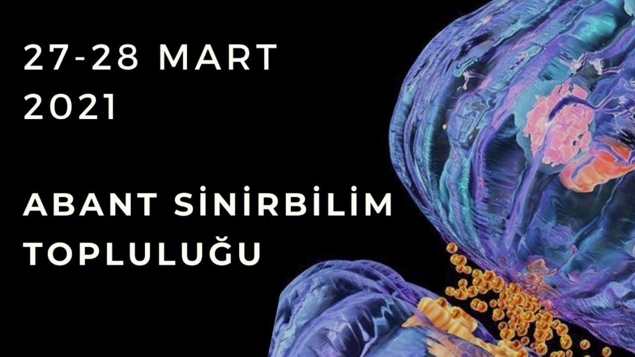 I. Sinirbilim Günleri