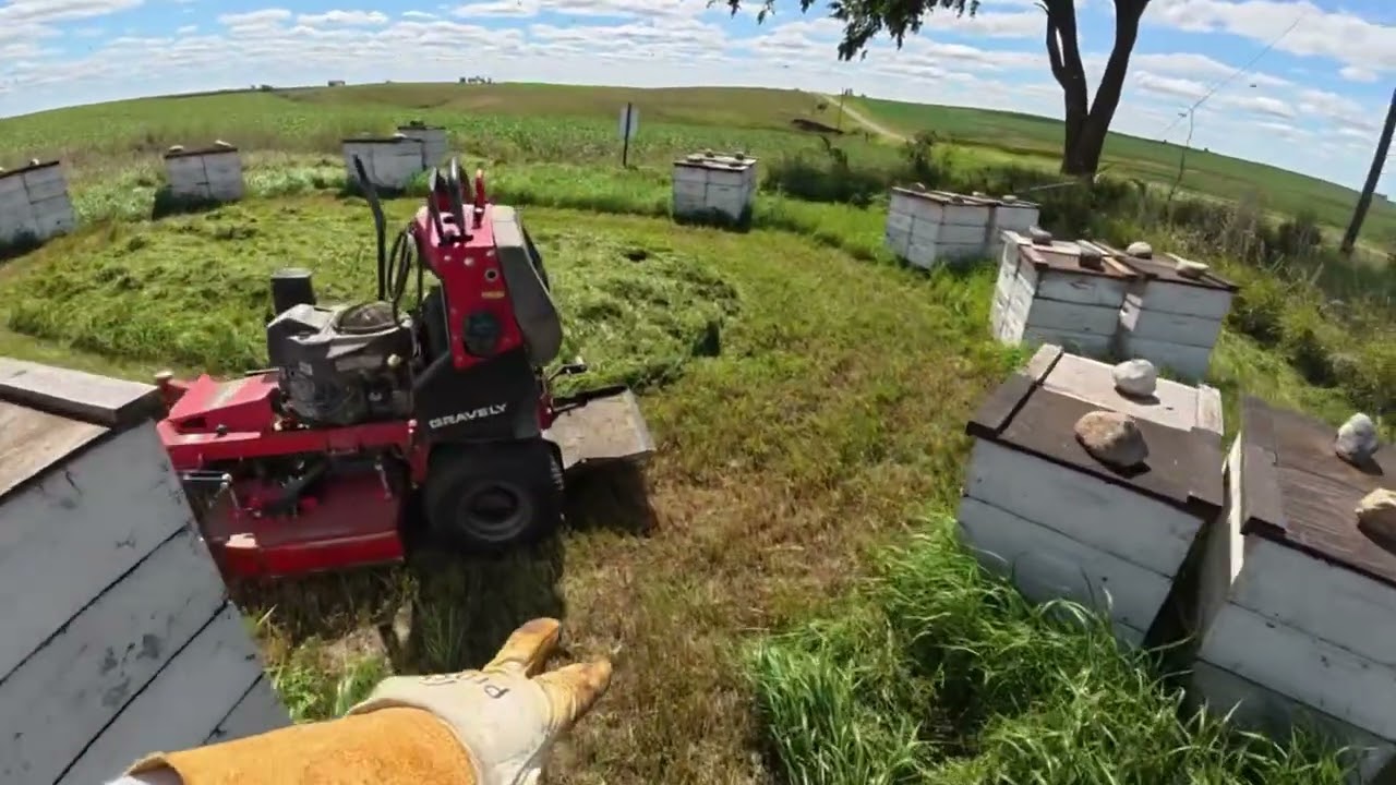 Mowing Beeyards - Commercial Beekeeper Series