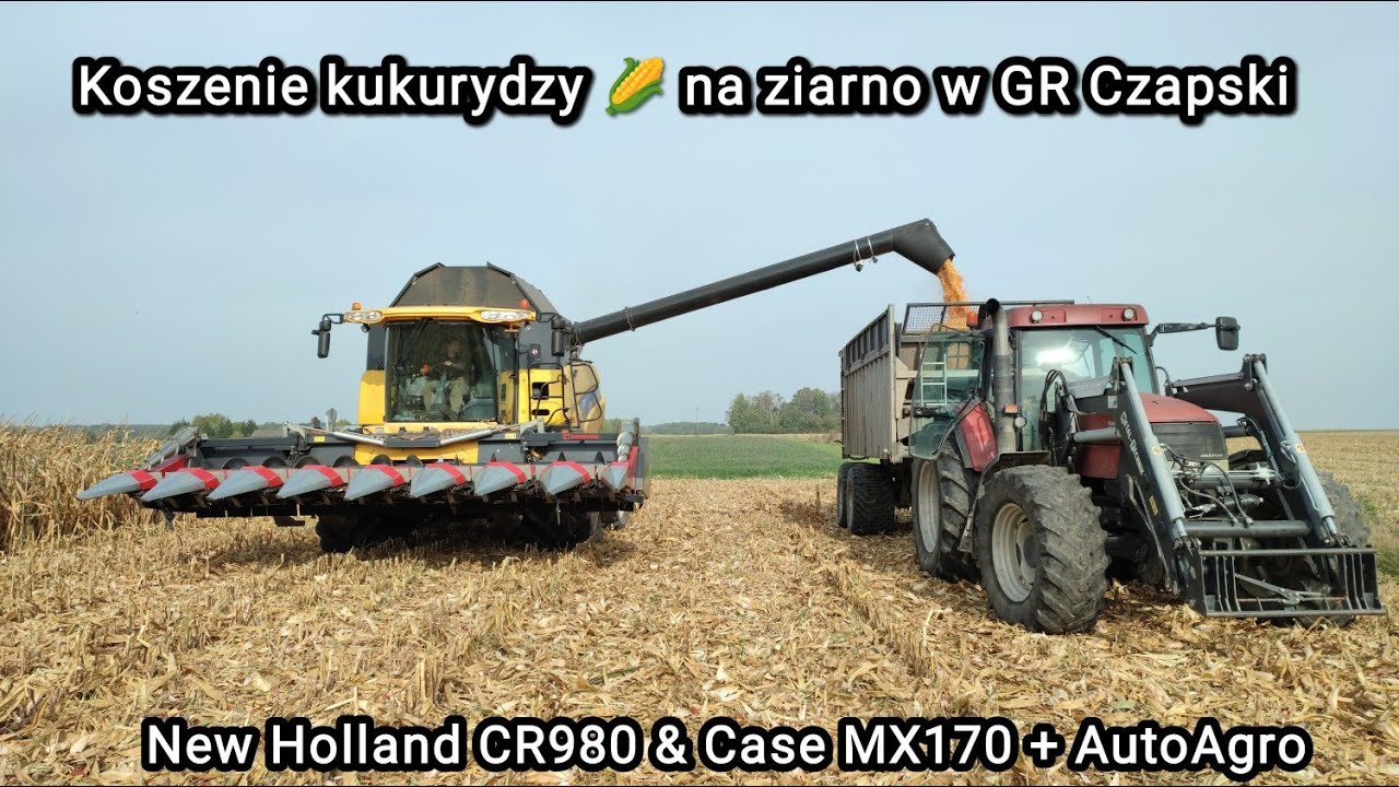 Kukurydza na ziarno 2023 BovisAgro New Holland CR980