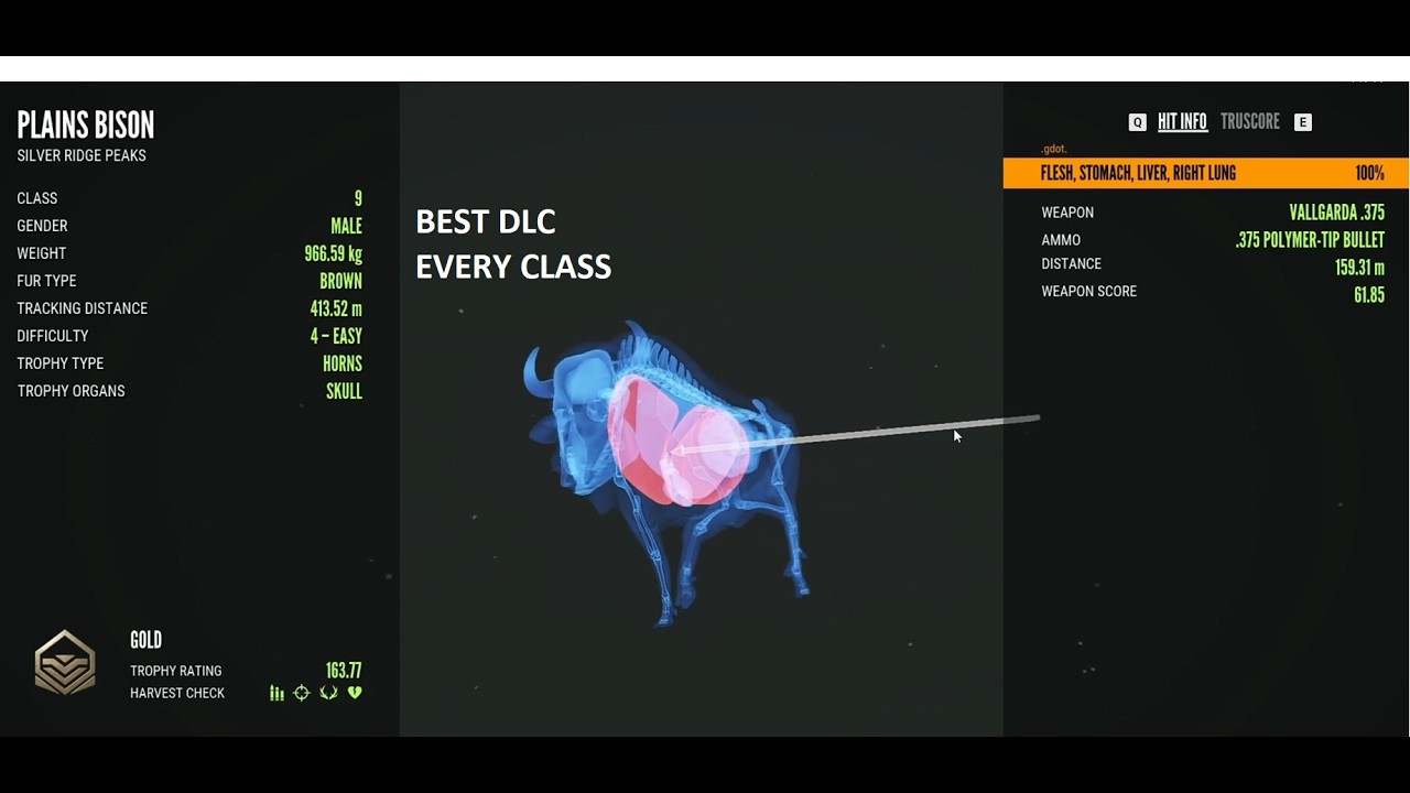 The ONLY DLCs You Actually Need (Guns For Every Class Covered)