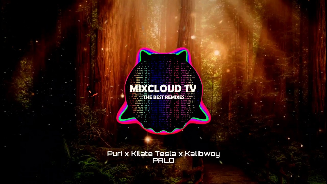 Puri x Kilate Tesla x Kalibwoy  -  Palo Original Mix