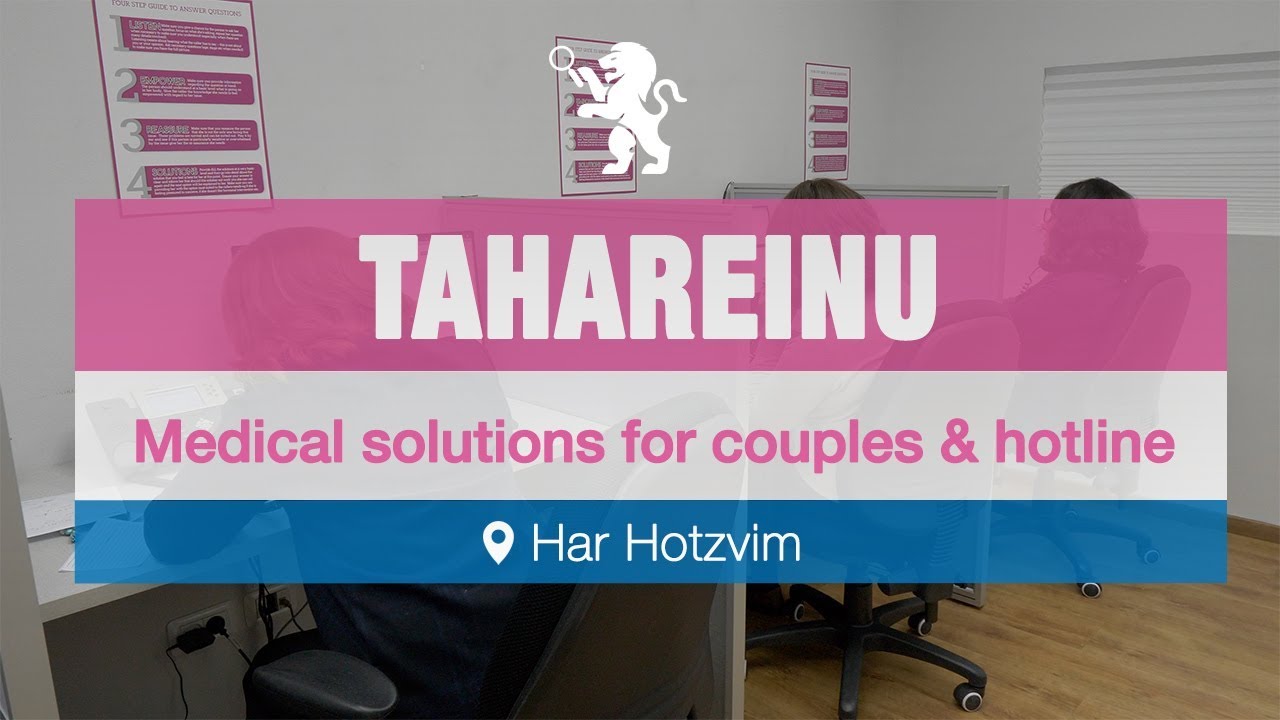 Tahareinu