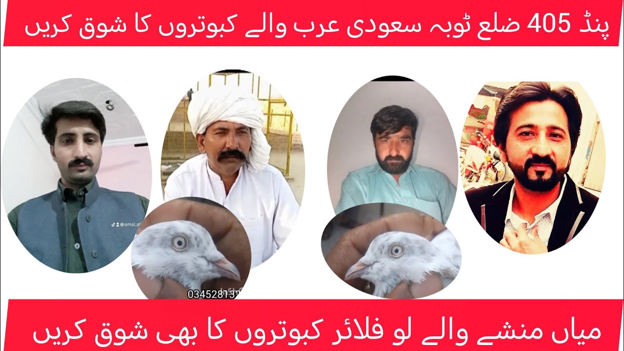 سعودی عرب سے جو کبوتر ائے ہیں ان کا بھی شوق کریں 