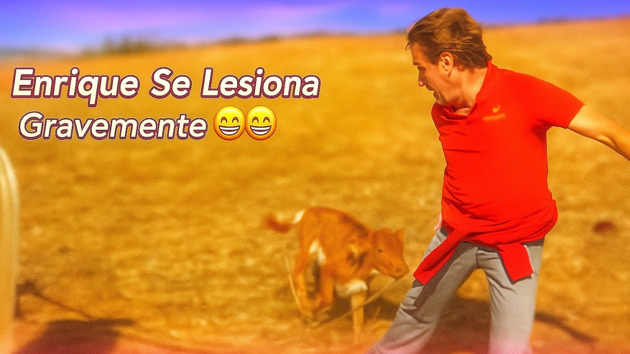 Una Becerrita Muy Brava