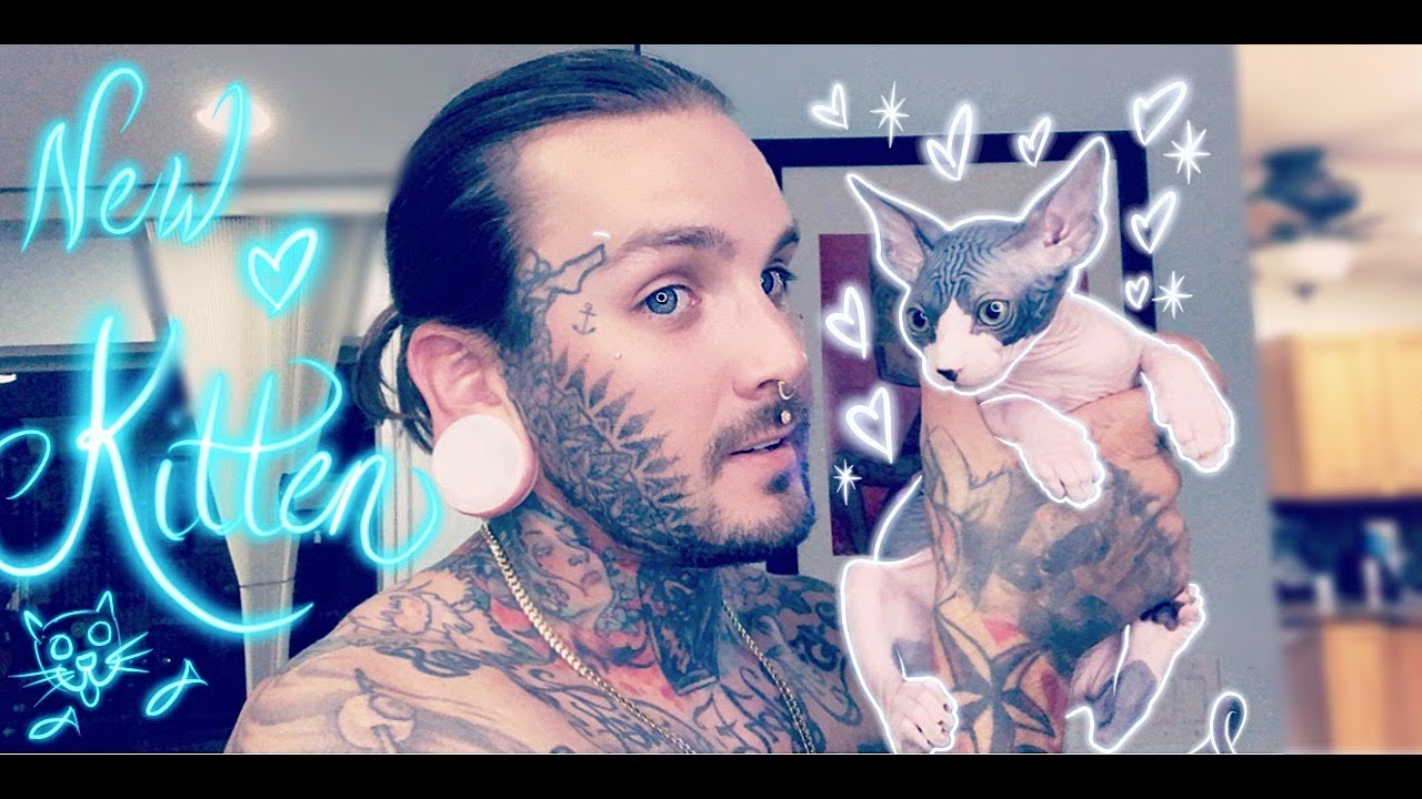 Bringing the CUTEST BABY SPHYNX home today!