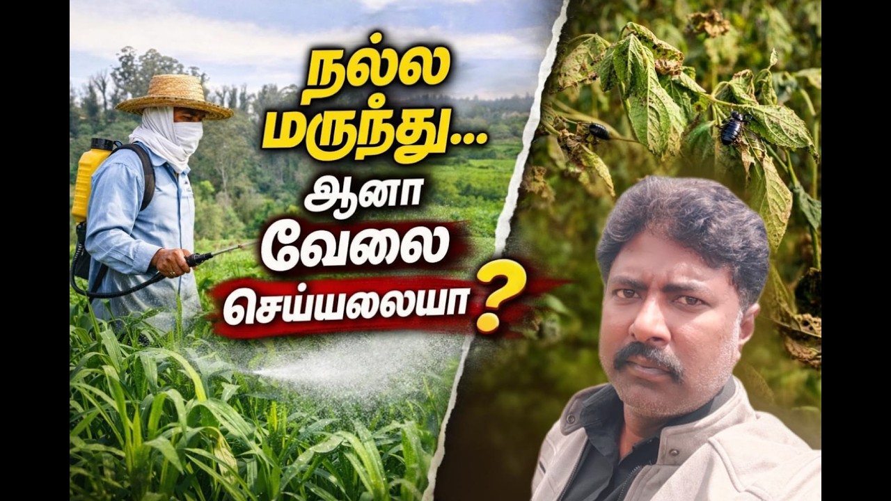 ஒரு நல்ல மருந்து கூட ஏன் சில நேரம் வேலை செய்யாது?