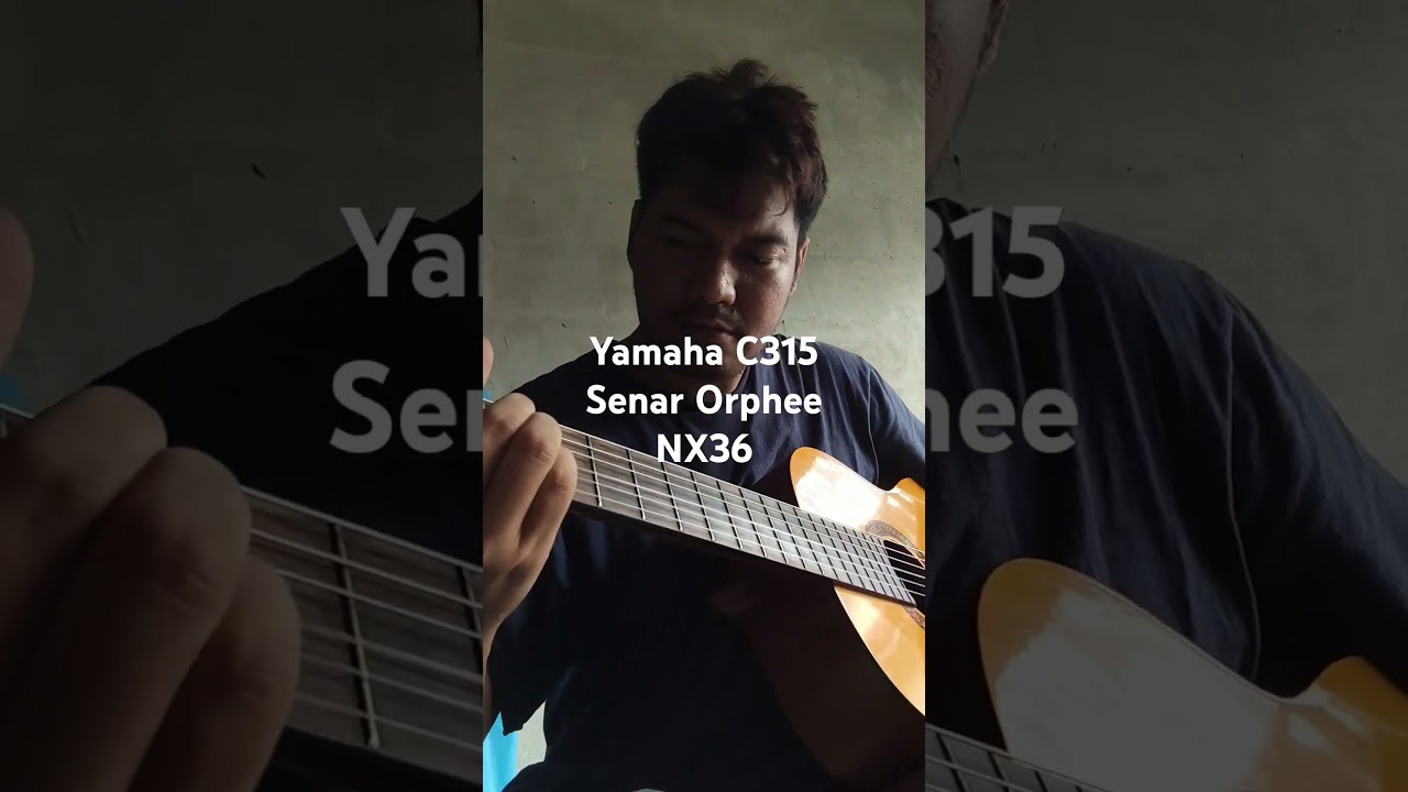 Yamaha C315 pakai senar Gitar Klasik Orphee NX36