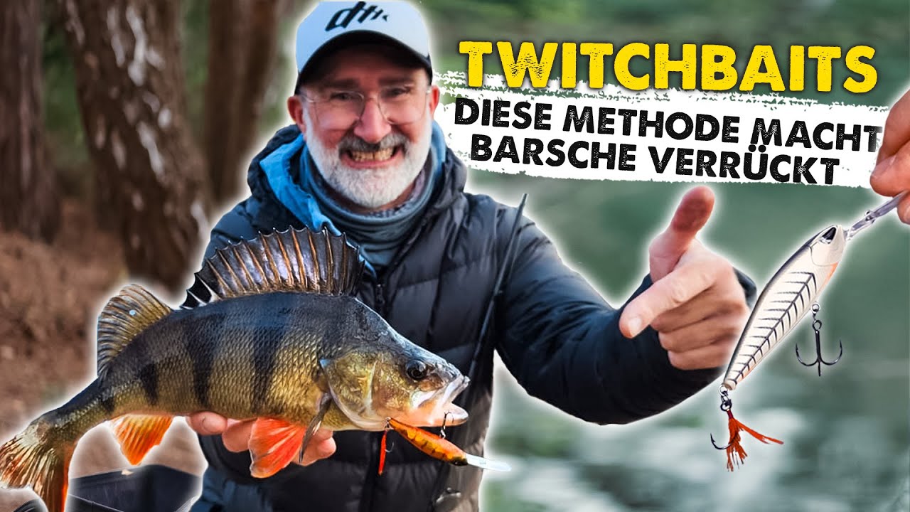 SO wird der Twitchbait zur TWITCHMASCHINE