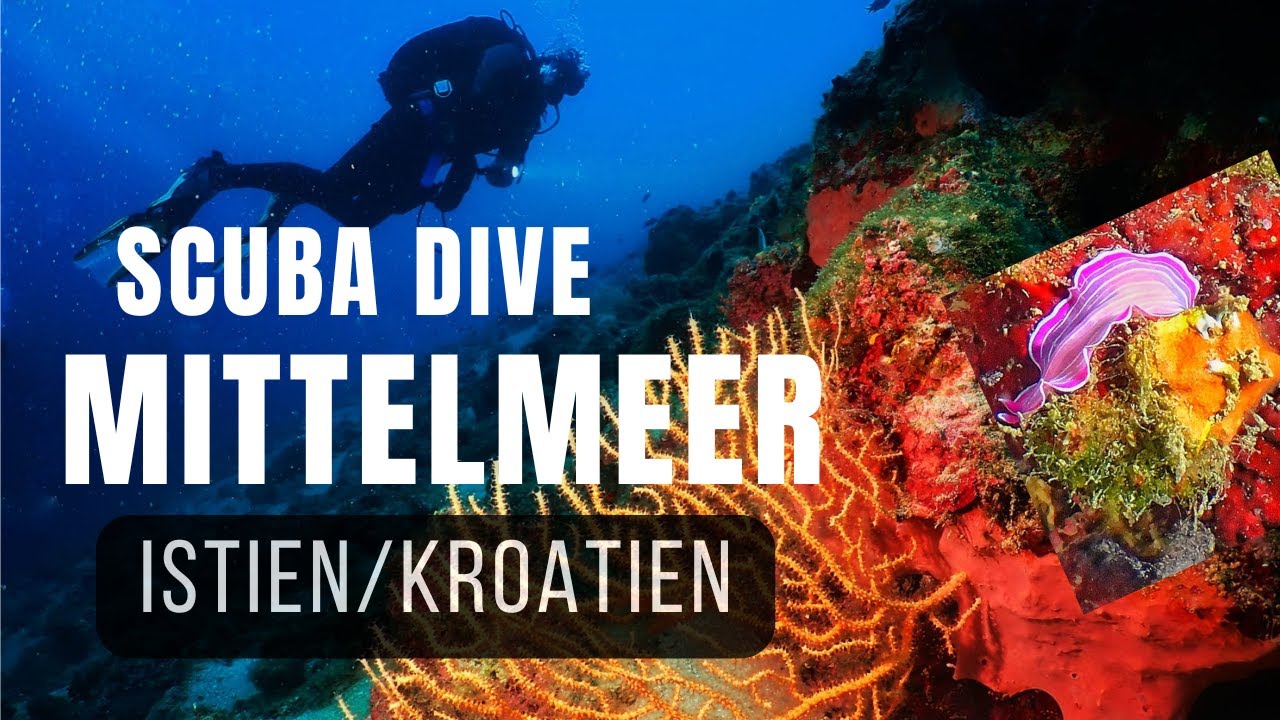 Unter Wasser in Kroatien - Farben die du noch nie gesehen hast!