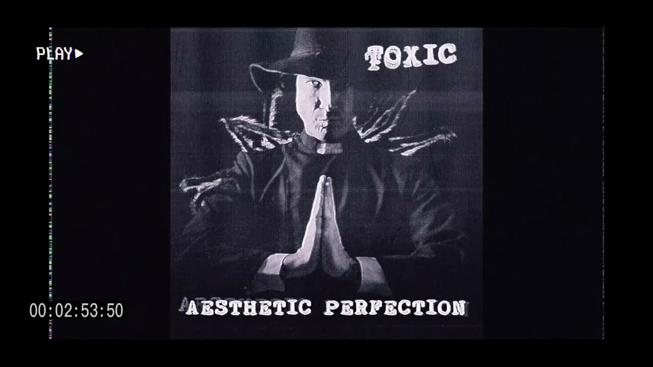 Aesthetic Perfection - TOXIC (Deadbeat Remix)