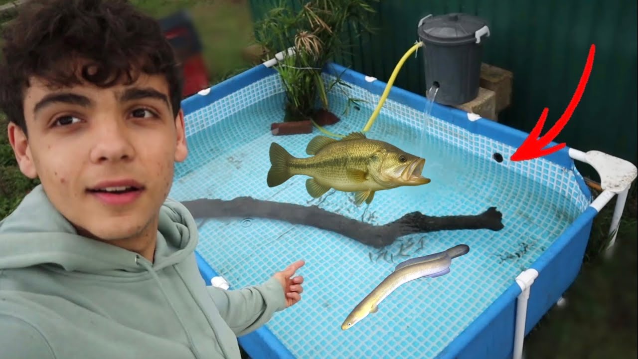 NUOVA PISCINA all’esterno per il BLACK BASS e L’ANGUILLA! (allestimento e trasferimento pesci)