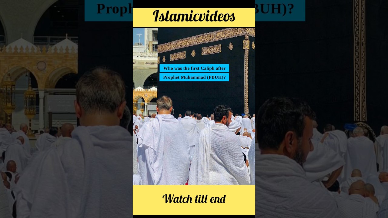 First Caliph of Islam ☪️?#viral #islamicstatus #quran #shortsvideo #shorts #palestine #viralvideo