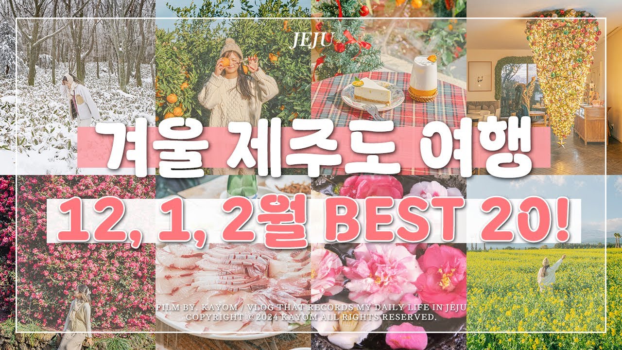 🌺 12월, 1월, 2월 겨울 제주도 여행 가볼 만한 곳 Best 20! | 제주 동백꽃 명소, 제주 가족 여행 코스