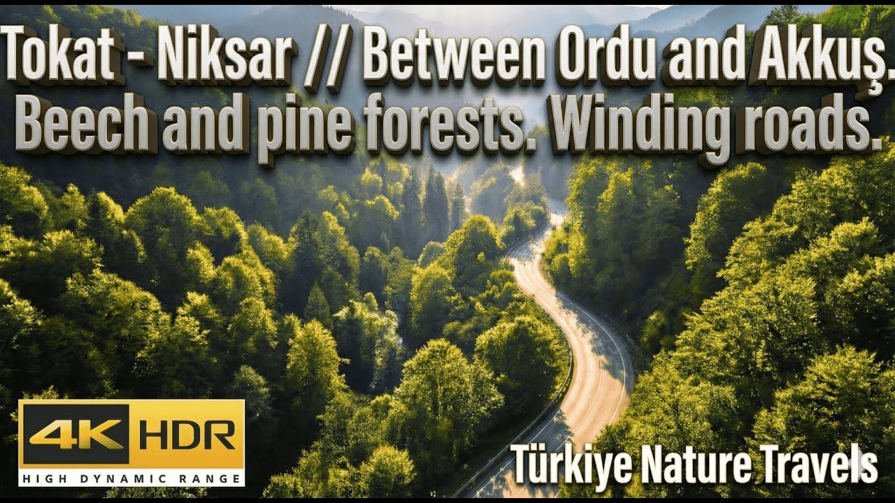 4K POV. Türkiye (Turkey) One of Türkiye's most winding forest roads. Niksar - Akkuş.