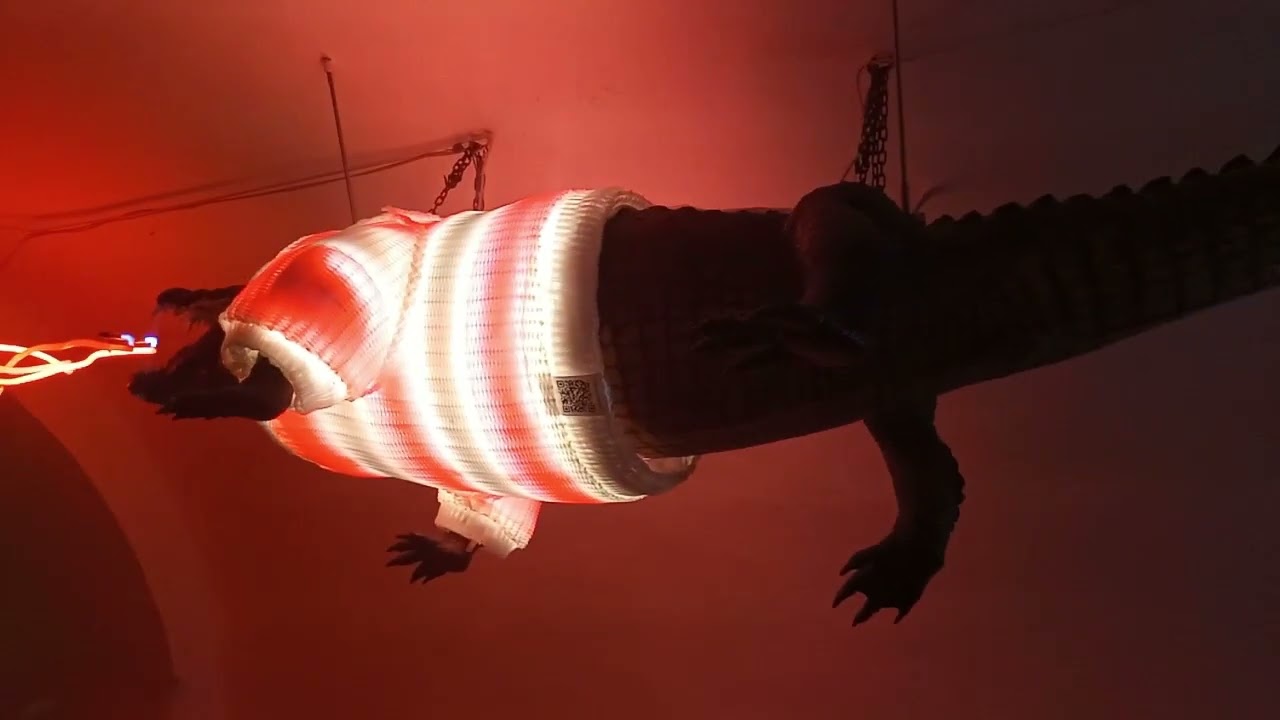 Vánoční Brno, adventní trhy 22  11  2024