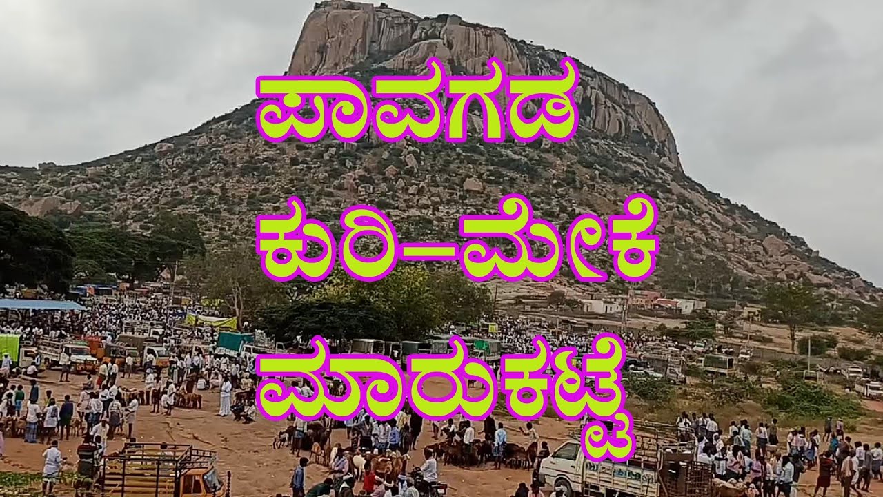 Tumkur Pavagada Goat and Sheep Market    ತುಮಕೂರು  ಪಾವಗಡ ಮೆಕೆ ಮತ್ತು ಕುರಿ ಸಂತೆ