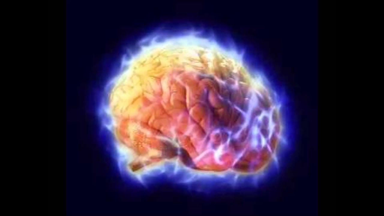 Electric Universe -- Cosmic Network