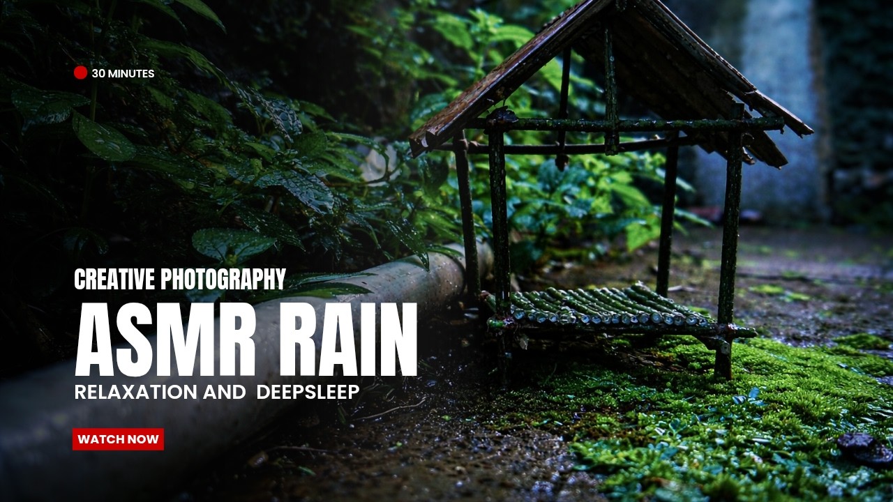 🌧️ ASMR Rain Sounds & 📷 Creative Photography | Relaxing Rain for Sleep, Study & Relaxation