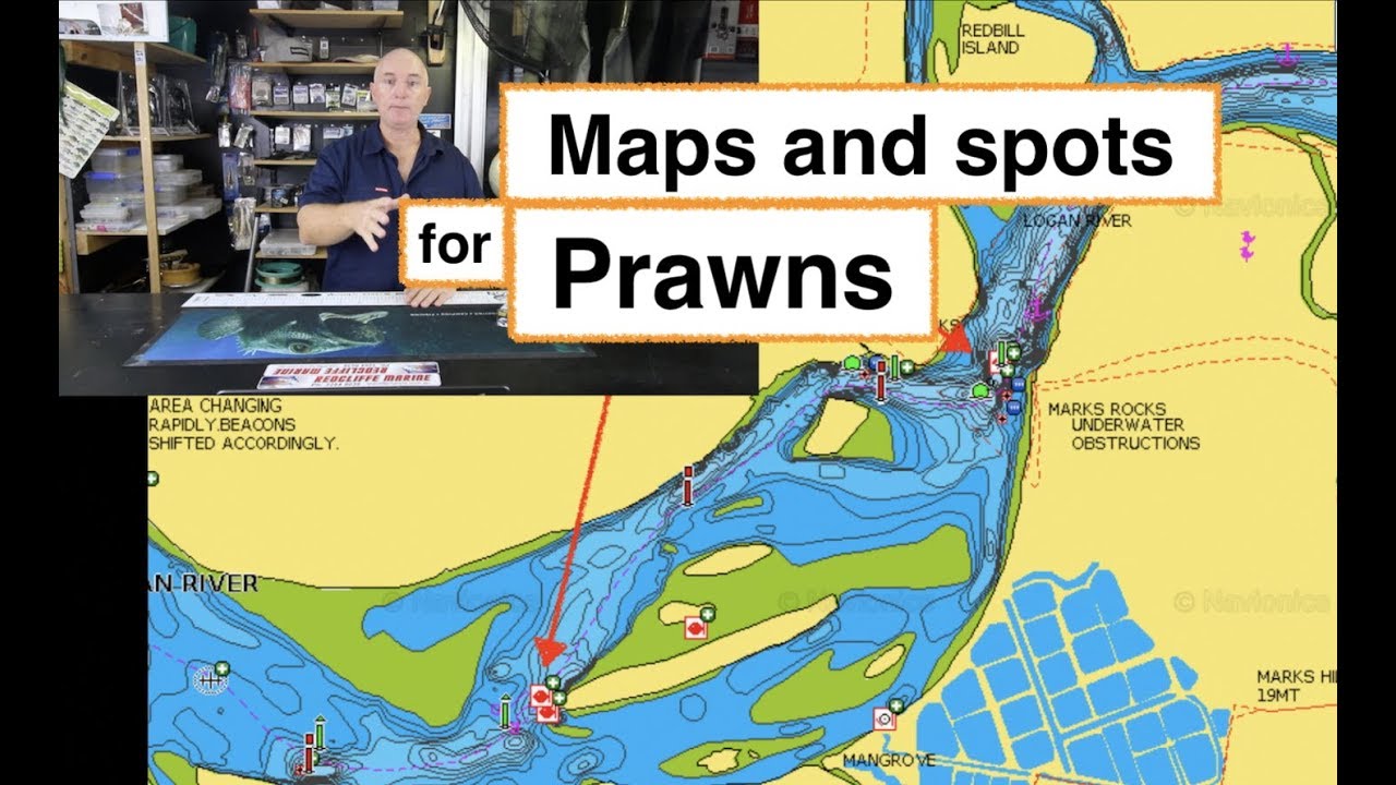 PRAWN FISHING, Logan River to Caboolture River, Napa and spots