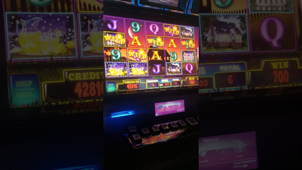 Wild Firefly Max Bet Slot Bonus @WinstarWorldCasino
