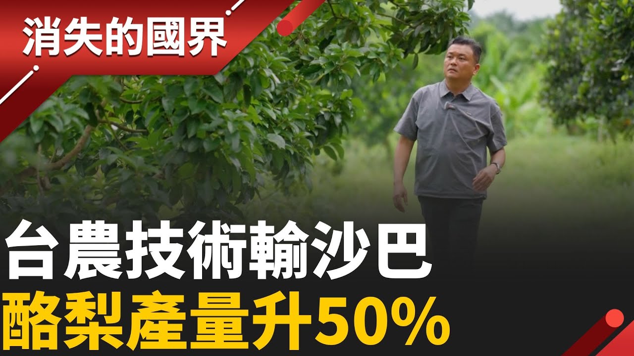 沙巴拚種超級食物酪梨 靠台灣農業技術育果 酪梨產量倍增│【消失的國界】20251107│三立新聞台