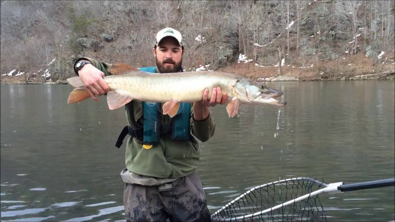 Fishing for Muskie in the James River