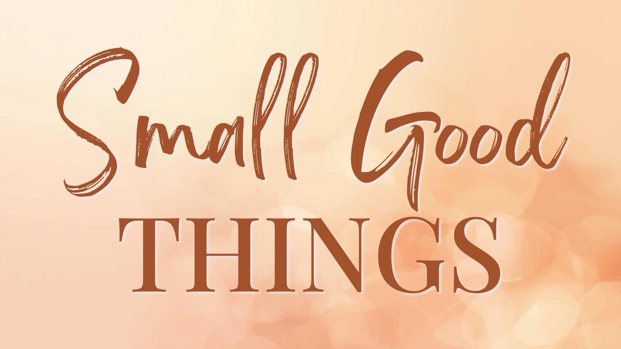 🌿 Noticing the Good Around Me | A Quiet Reflection