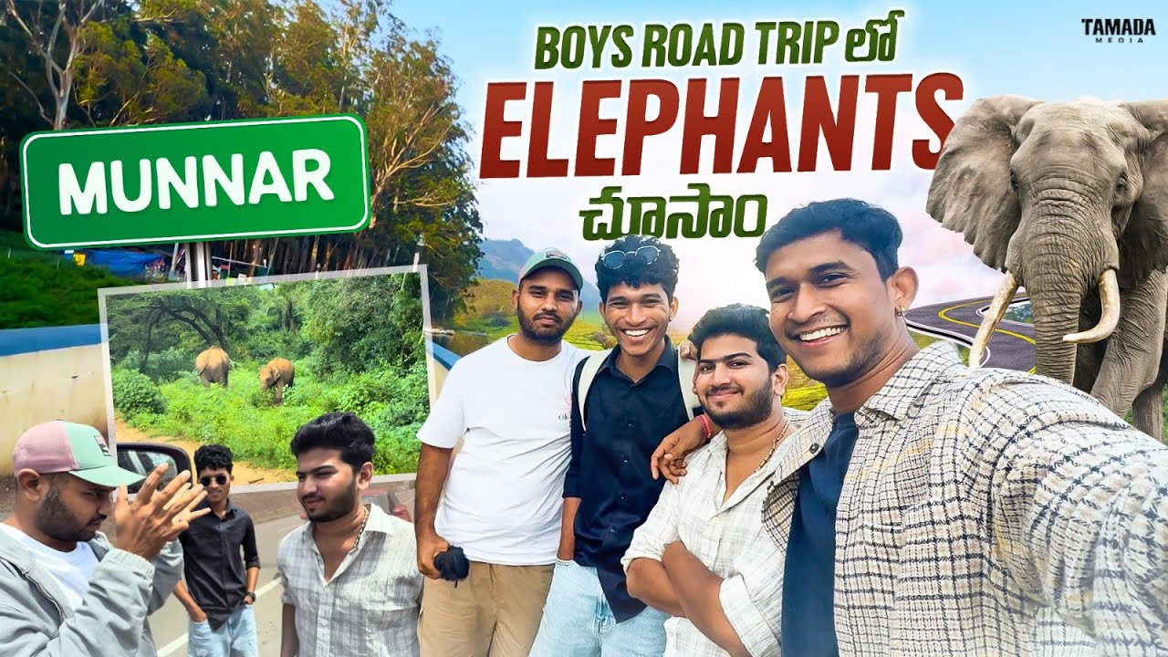 Road trip లో Wild Elephanths chusam😨| Boys తో road trip🔥| Munnar | PART - 2 | @Shiv_namani | TM