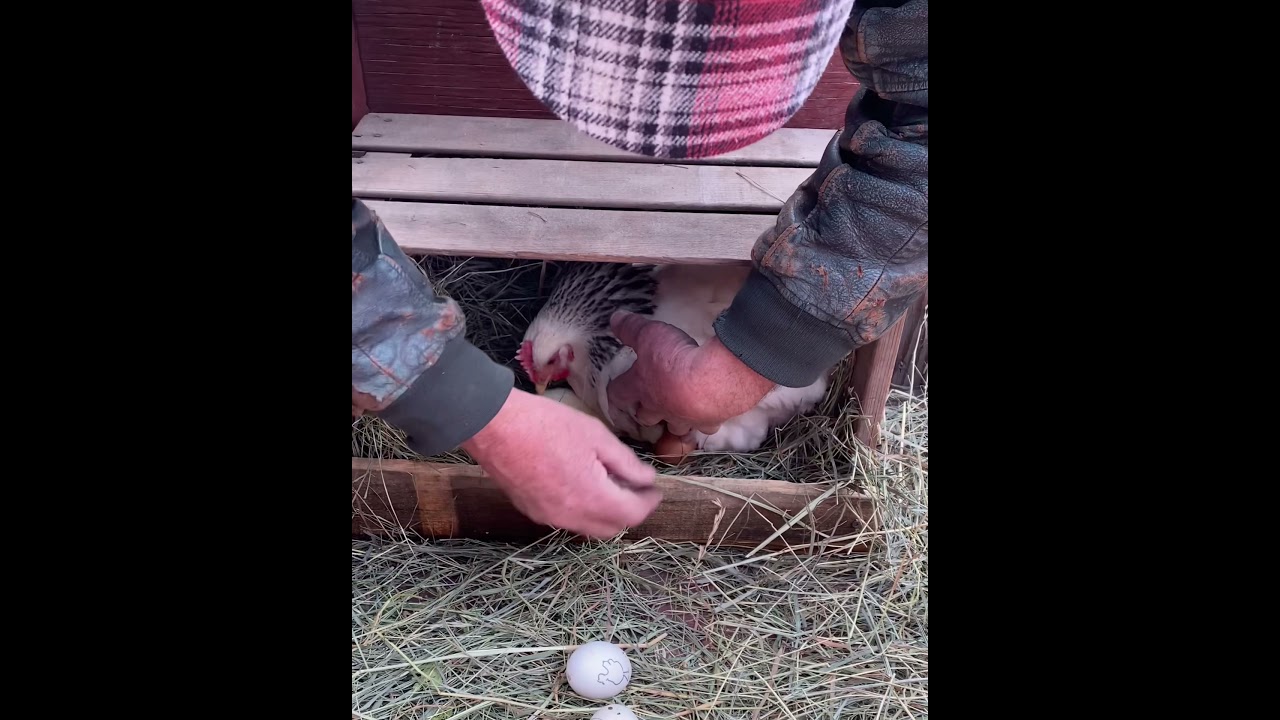 Kettle River Farm