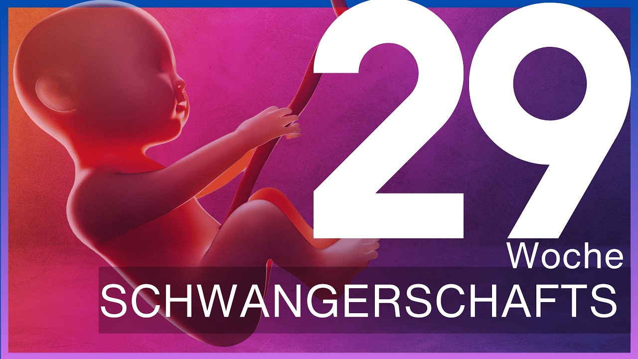 29. Schwangerschaftswoche: Wie du dich und dein Baby optimal vorbereitest | Update 29 SSW – SSW29