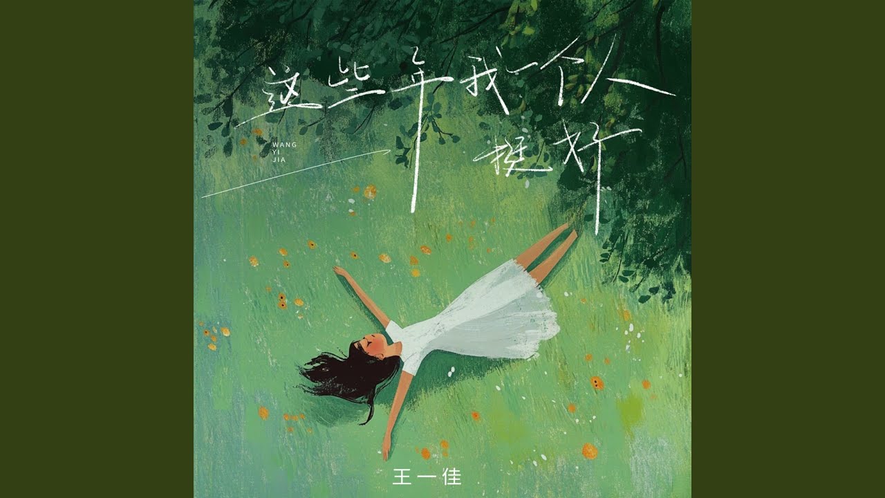 这些年我一个人挺好 (DJ九零版)