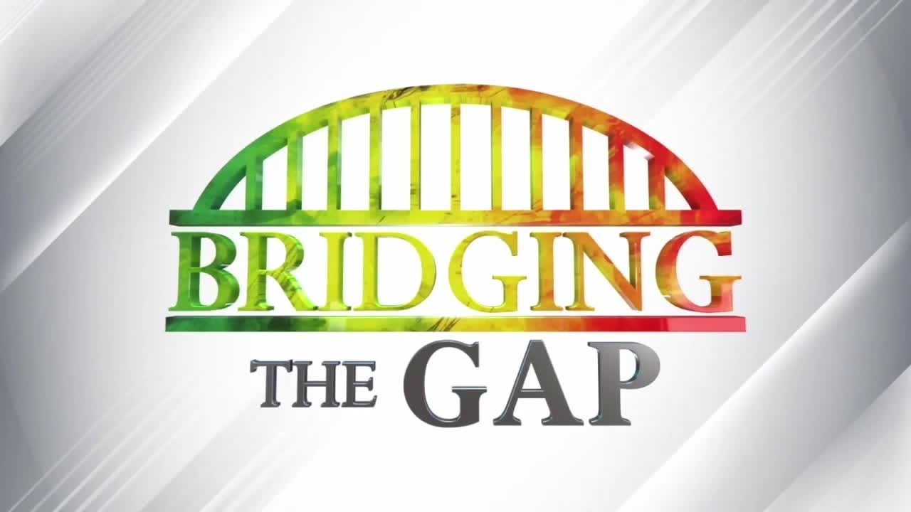 Bridging the Gap Part II