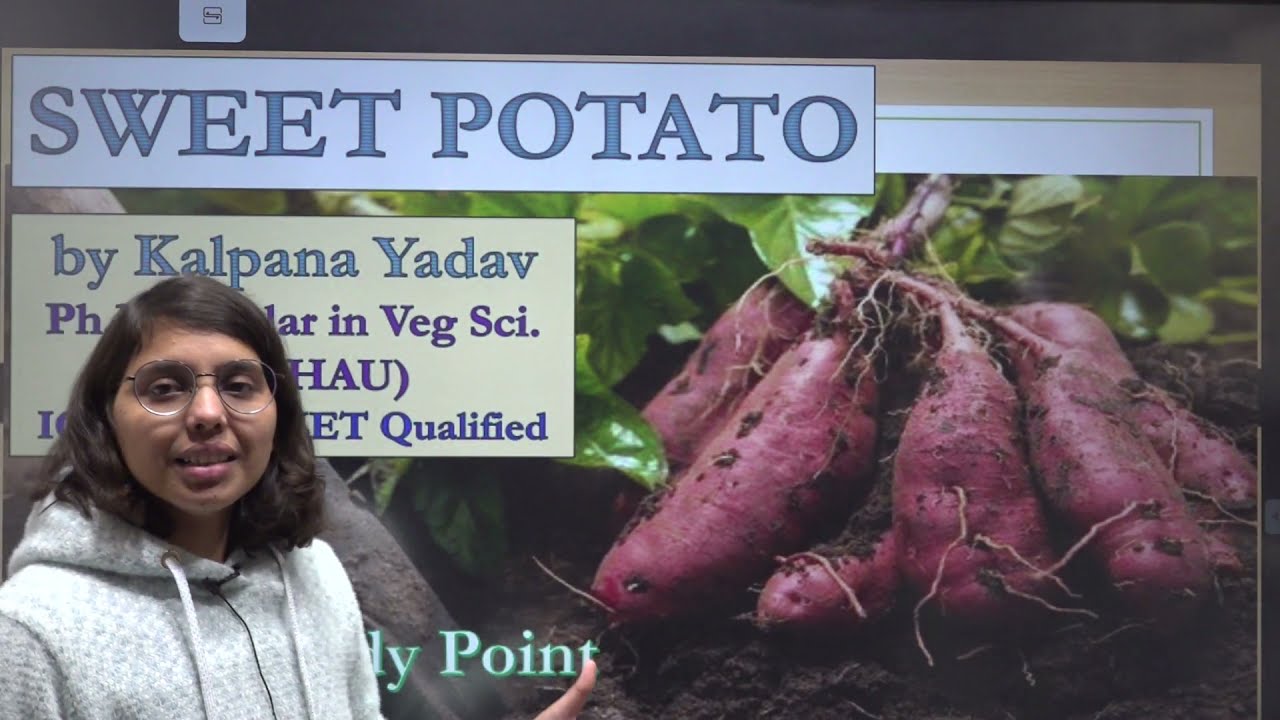Sweet Potato by Kalpana Yadav | JRF, SRF, AFO mains, Pre-PG, NABARD, FCI, SO |