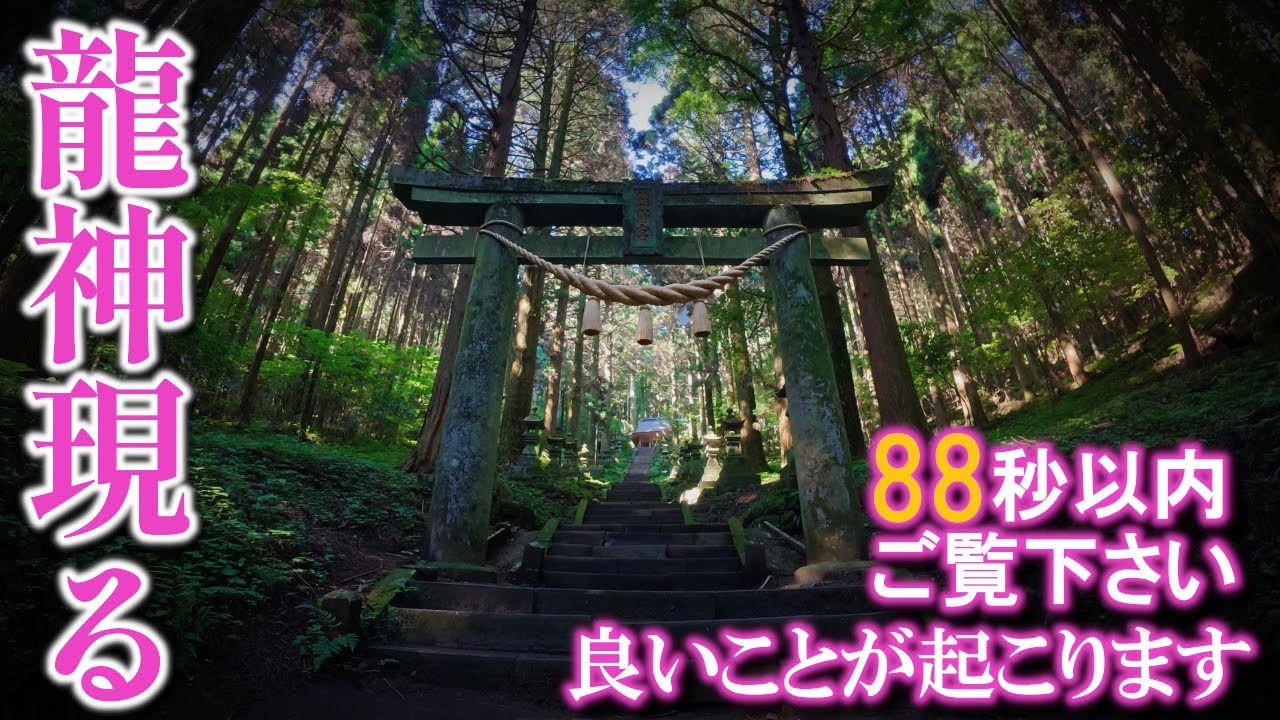 ⚠️朔日詣※龍神様の恩恵で早い人はすぐに効果があります。次々と良いことが起こり始めます｜上色見熊野座神社遠隔参拝411