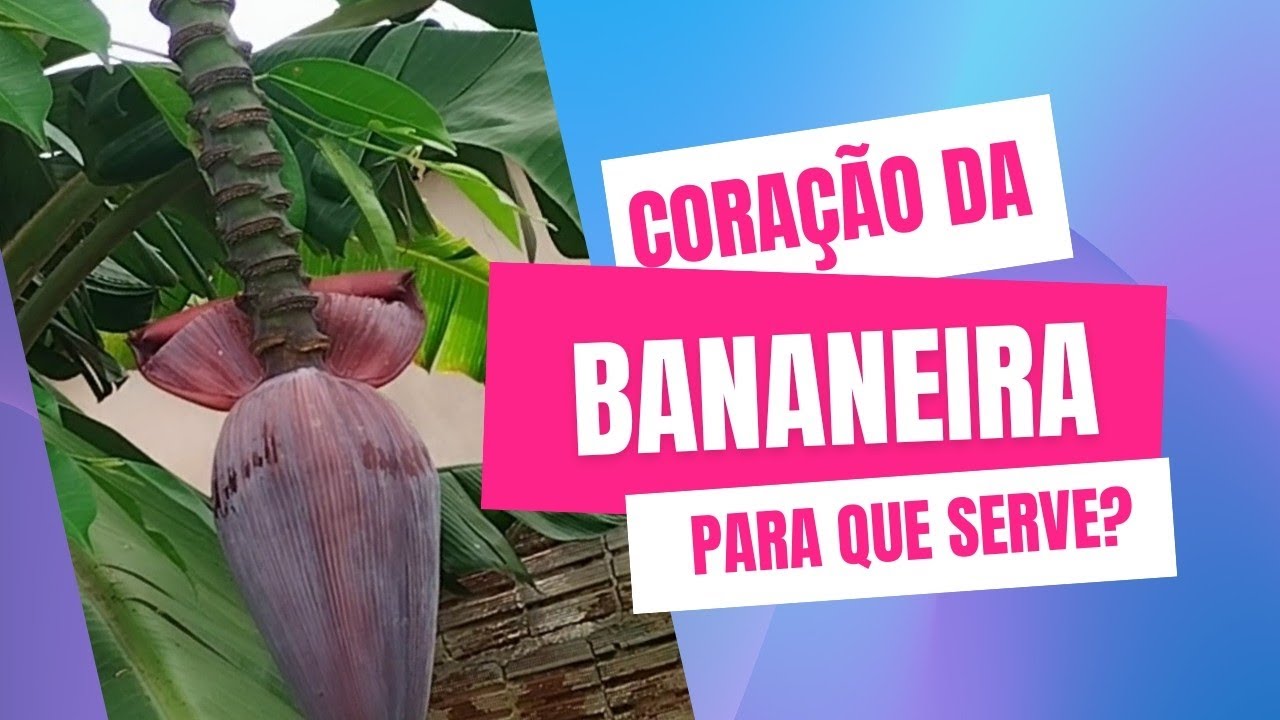 Prato exótico que poucos consomem.