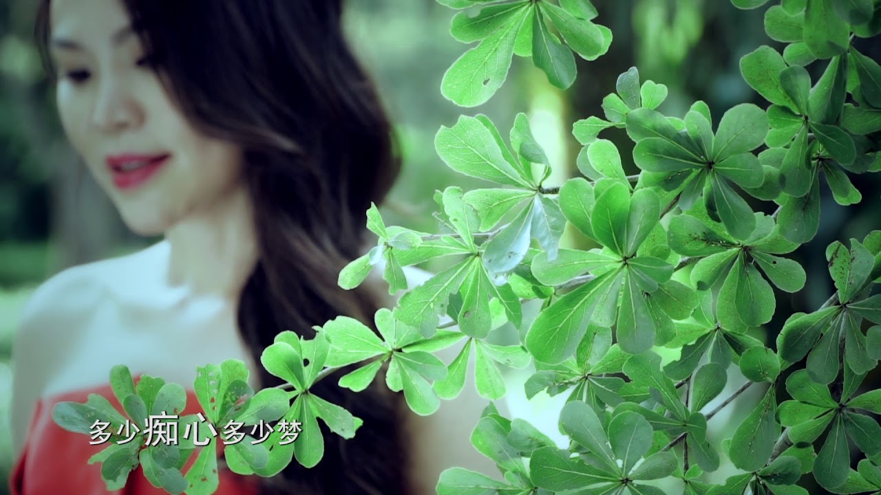 利慧君 Vivian Lea【我的唇吻不到我爱的人】《2019 最新专辑》 (Official Video)