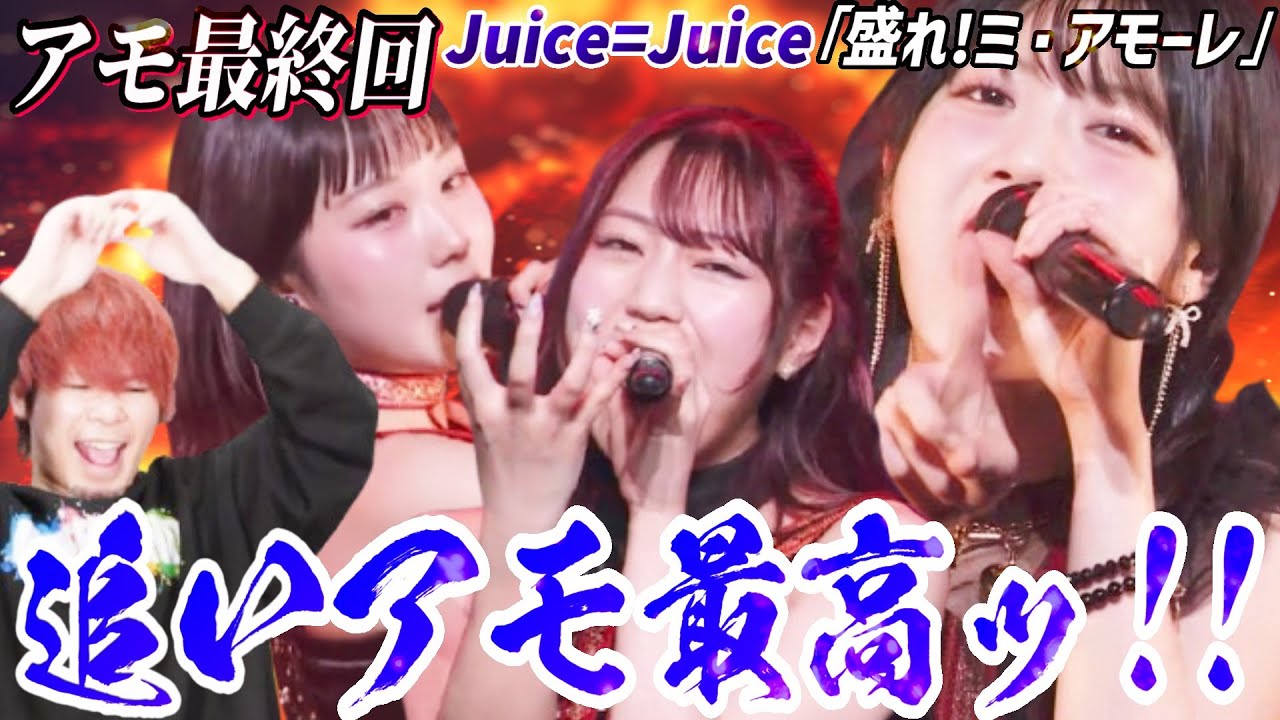 追いアモ最高だぜぇ！！Juice=Juice「盛れ！ミ・アモーレ」最終回！！！！【リアクション】