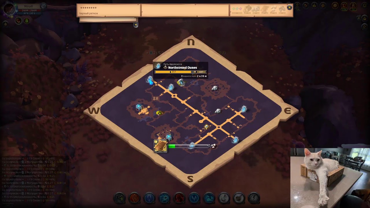 Авалоны на бадоне в Albion online, общаюсь с чатом