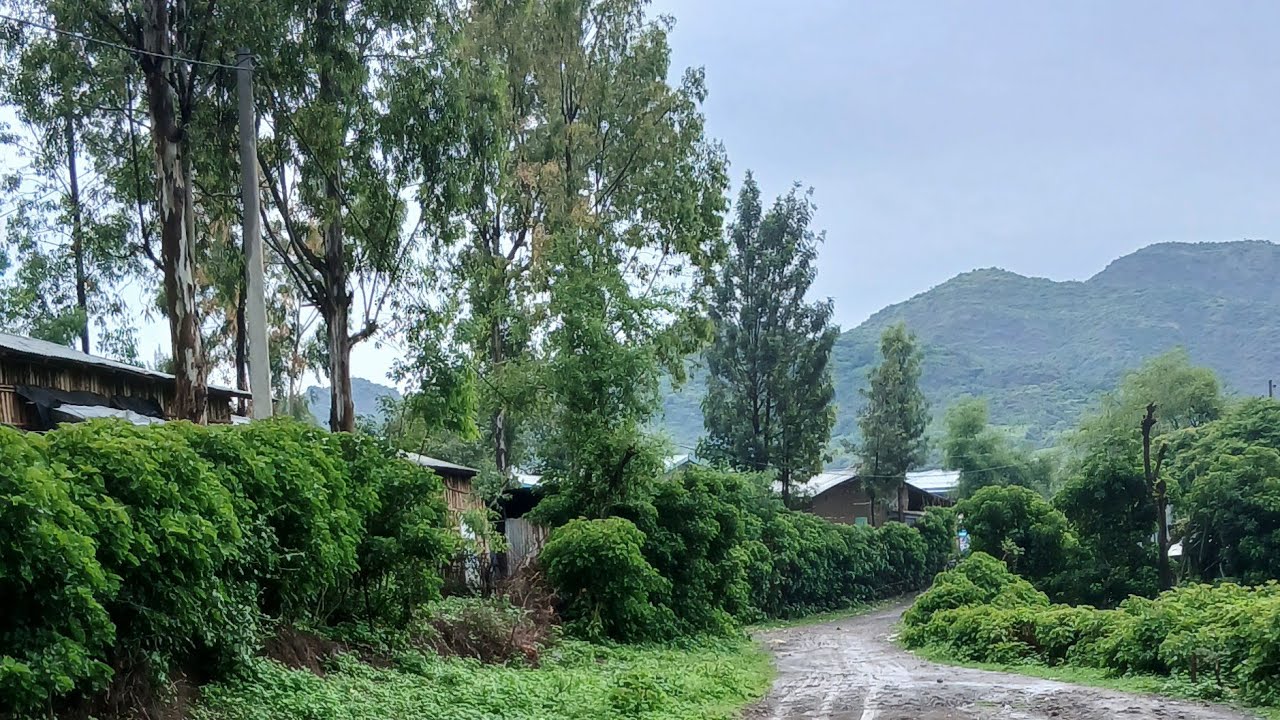 #ethiopia ከድር ጀማል 🎬 ከትዝታ መንደር 🏕️🇪🇹🏕️