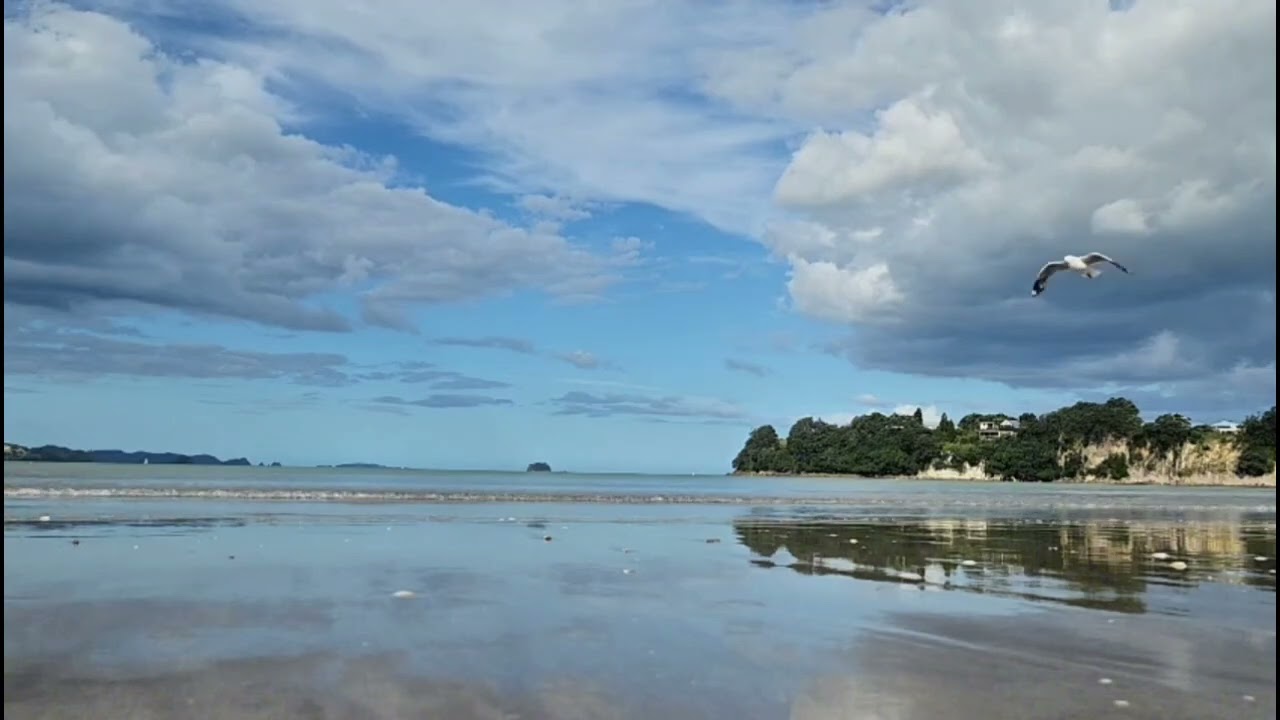 Oceán a pohoda - Nový Zéland / Ocean Relax- New Zealand #novyzeland #ocean#newzealand #relax #travel