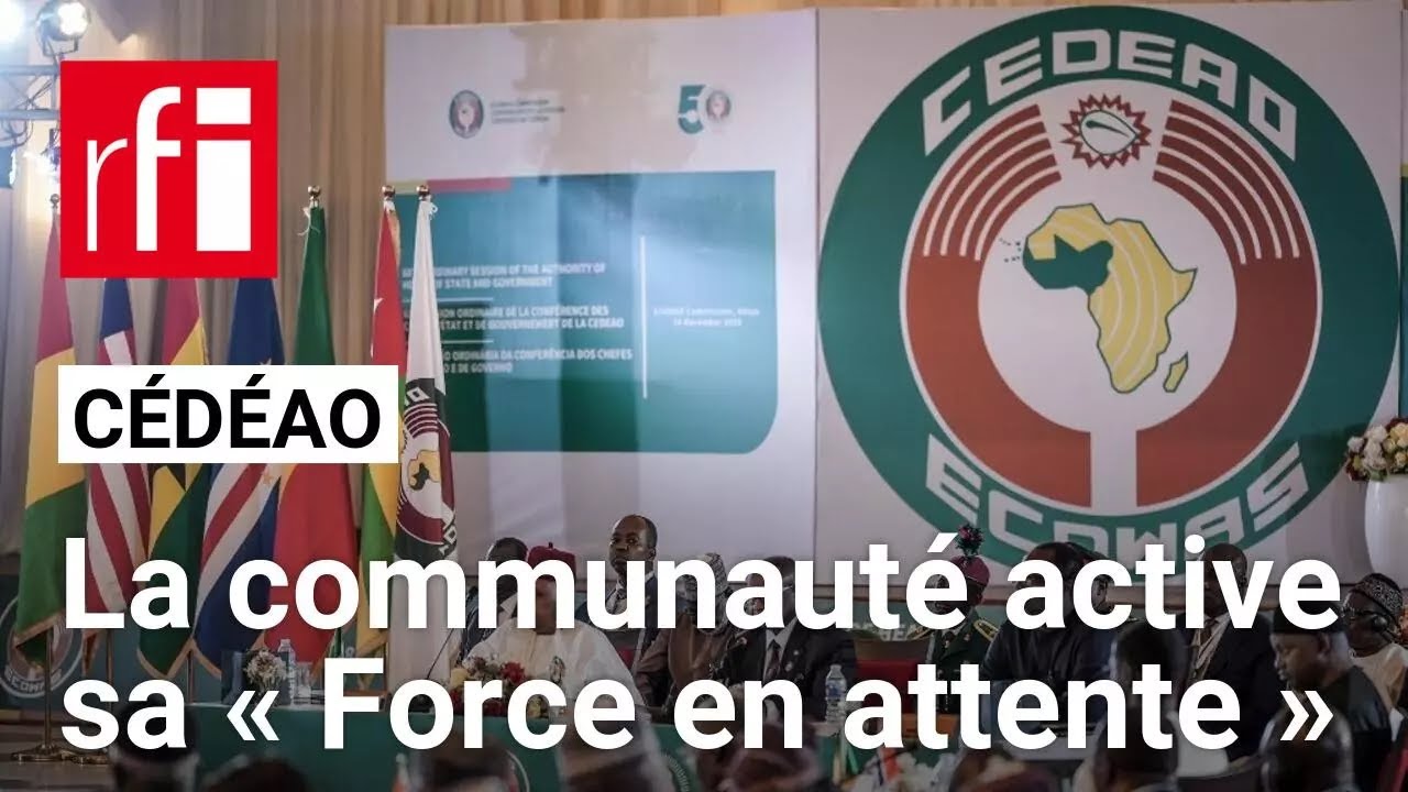 Cédéao : « Il faut qu'on ait un minimum de coopération pour accroître le projet » • RFI