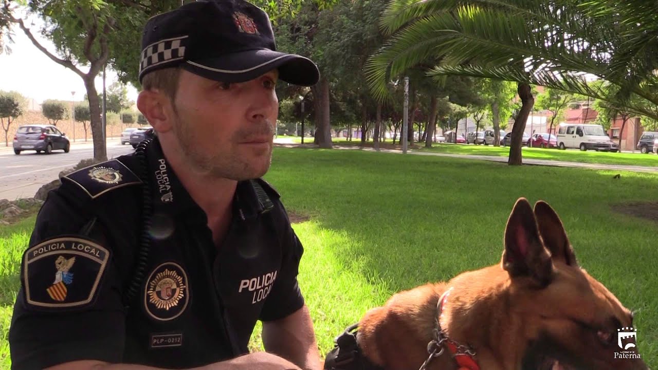 Urko, Unidad Canina de la Policía Local de Paterna