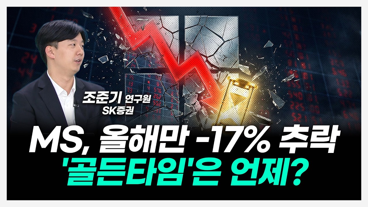 지금 마이크로소프트 주가가 반등하지 못하는 결정적 이유 (얼 / 김옥영 / 조준기)