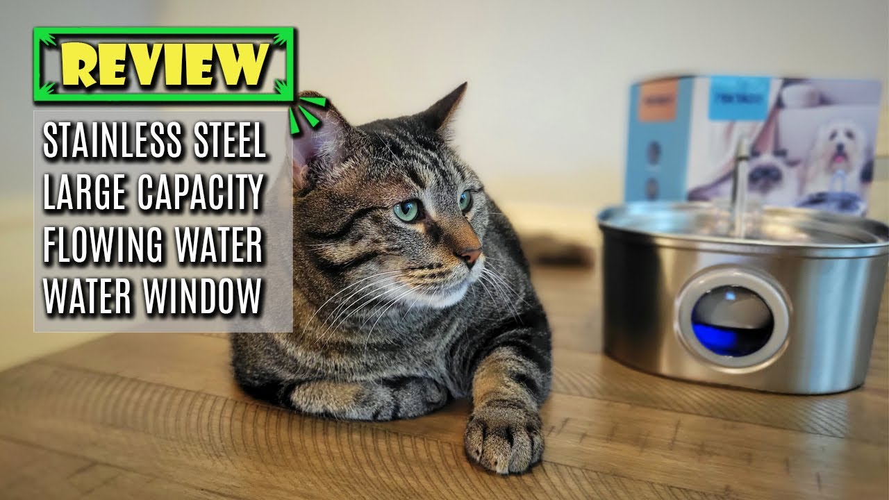 Keep Your Cats Hydrated: PEKTACO Cat Water Fountain