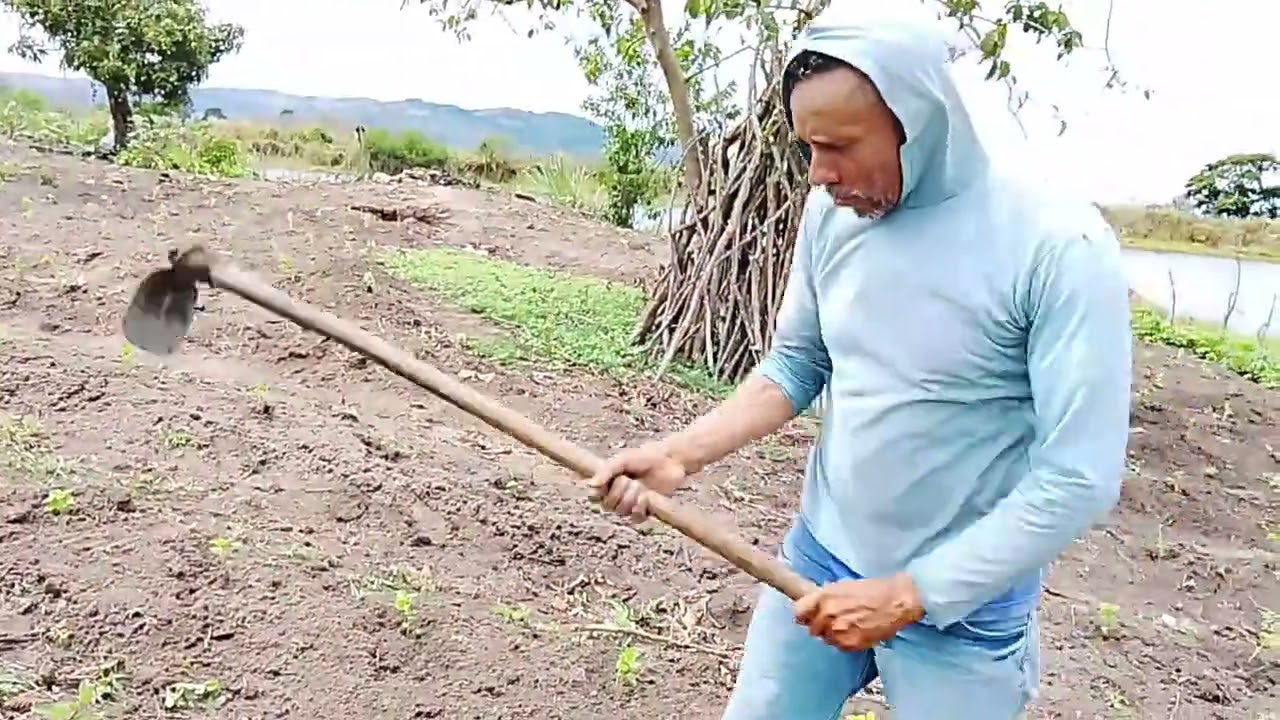 Vem com nós pra mais um vídeo plantar pimenta de cheiro vem 