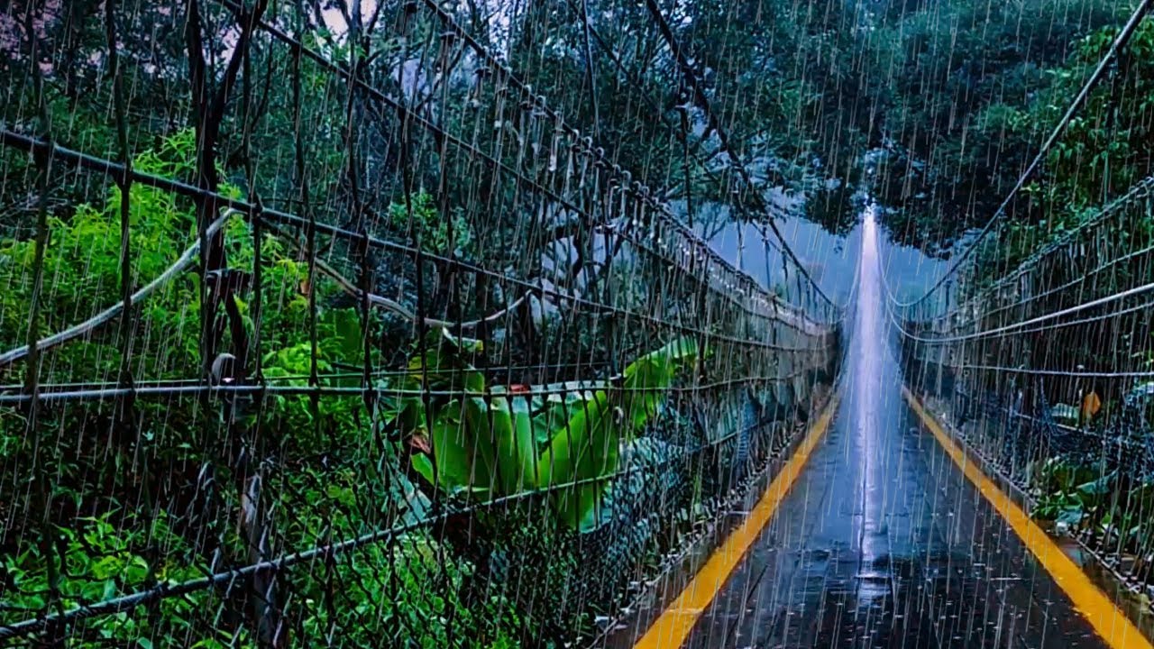 Heavy rain and storms in beautiful green Forest ⚡ for sleeping and relaxing 🌧️ Overcome Insomni